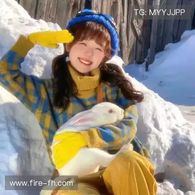 舒舜飚